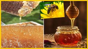 HONEY MANUFACTURING PROCESS